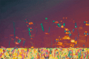 Autism Speaks Dna GIF by MSSNG