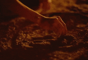 200.gif?cid=fc005b083bcafe8161142f950b2789cd7a277bc6c6174e4a&rid=200.gif&ct=g