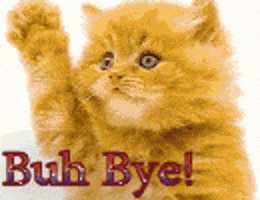 Photo gif. A fluffy orange kitten has been edited to seem like it is waving its little paw goodbye. The words "Buh Bye!" are written in pink font.
