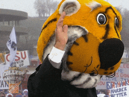 Espn Tigers GIF by College GameDay