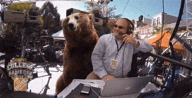bear GIF by College GameDay