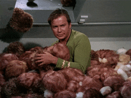 plantbasedyogi star trek kirk tribbles GIF