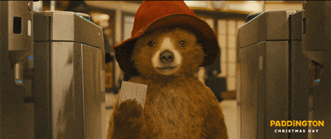 paddington bear oops GIF by The Weinstein Company