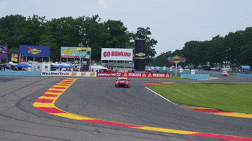 Audi Sport GIF by Gou Racing