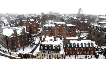 snow cambridge GIF by Harvard University