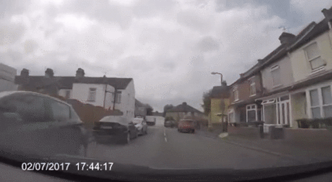insurance scam GIF - insurance scam GIF