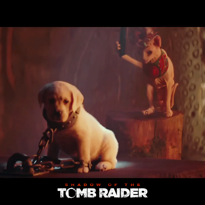 lara croft national dog day GIF by Tomb Raider