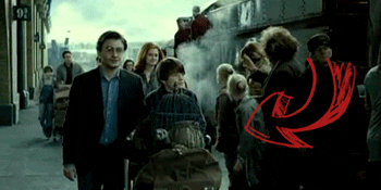 draco