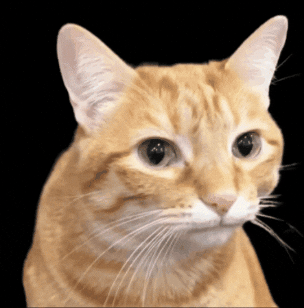Larry GIF