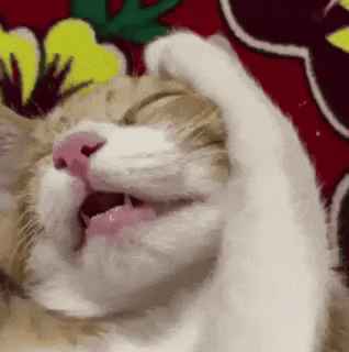 To Sleep Sleeping GIF