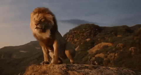 lion king gif