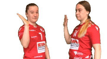 Handball Frblad Sticker by Fredriksstad Blad