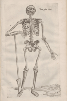 Skeleton Omg GIF by InstytutKulturyMiejskiej_Gdańsk