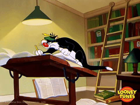 Cat Working GIF by Looney Tunes - Find & Share on GIPHY
