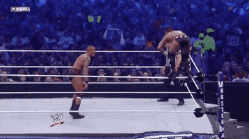 randy orton wrestling GIF by WWE