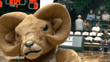 200.gif?cid=fc005b0886bccf717729d5b2692d9c79d8fd6ba44cfc2484&rid=200.gif&ct=g