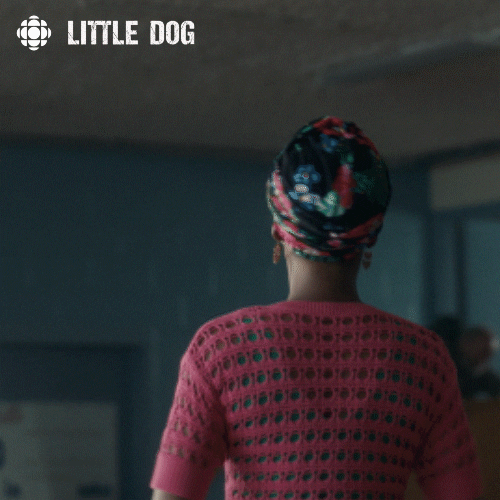 confused dog GIF by CBC