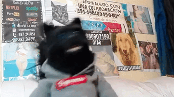 Cat Electro GIF