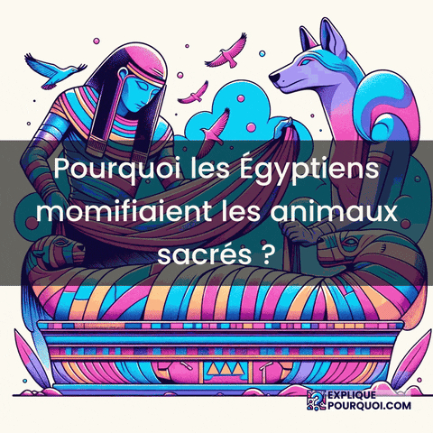 Égypte Ancienne GIF by ExpliquePourquoi.com