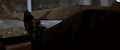 Bruce Willis Loop GIF