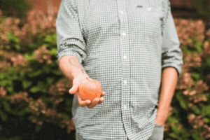 Hard Cider Fall GIF