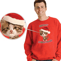 cat sweater GIF by Daily Mail Online