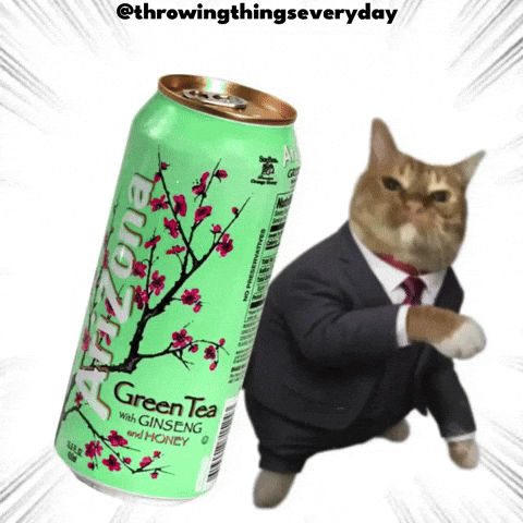 Cat Throwing GIF