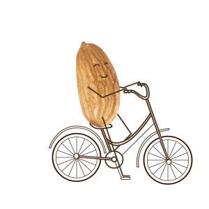 Leite Vegetal Castanha De Caju Sticker by A Tal da Castanha