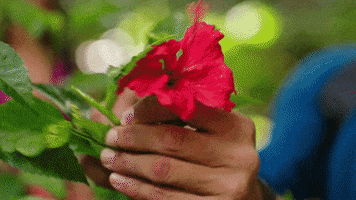 catherine bell flower GIF by Hallmark Channel