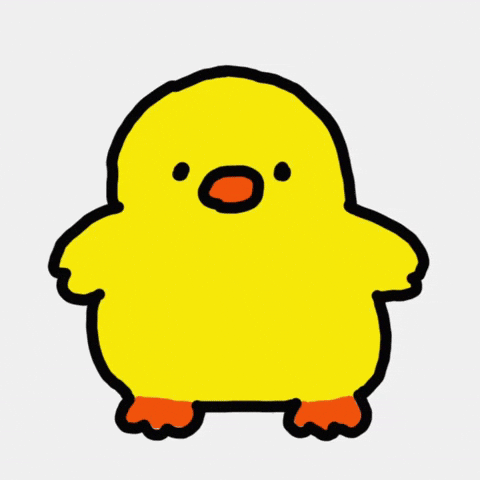 Spin Duck GIF