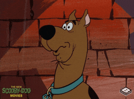 Scooby Doo No GIF by Boomerang Official