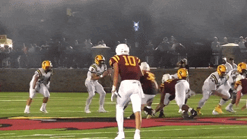 running back football GIF by Brockport