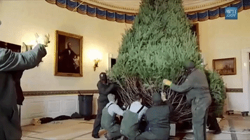 christmas tree GIF by US National Archives
