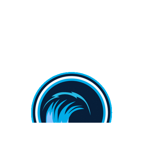 Riptide Sticker by Richmond Ringette