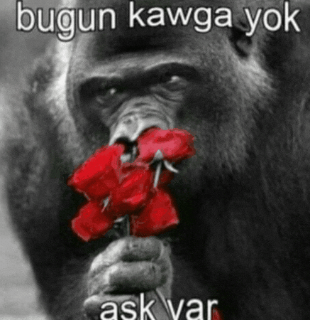 Goril Love GIF