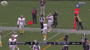 excited alliance of american football GIF by Birmingham Iron