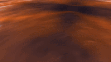 Win GIF by Greenville Swamp Rabbits