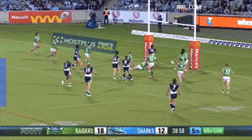 Nrl Sharks GIF