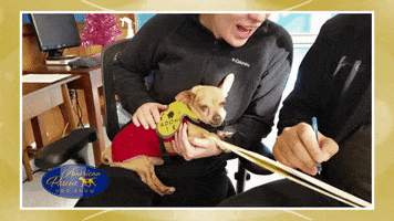 heart of television dog GIF by Hallmark Channel