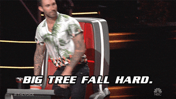 200.gif?cid=fc005b08e086c32cf1c112d926e0e2d0536972aa96cd04d2&rid=200.gif&ct=g