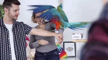 Plcloutier GIF