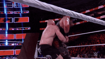 Brock Lesnar Sport GIF by WWE