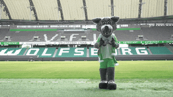 happy france GIF by VfL Wolfsburg
