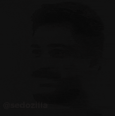 Sedozilla GIF