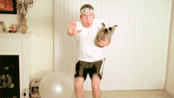 Workout GIF - Find & Share on GIPHY