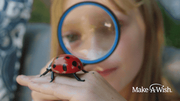 Season Wish GIF by Make-A-Wish America