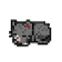 Cat Sticker
