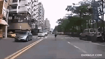 https://media1.giphy.com/media/66ySVqc6Y9fW/giphy.gif?cid=790b76112b40aae950732df7902431815ef74ef6ddd1a8d5&rid=giphy.gif