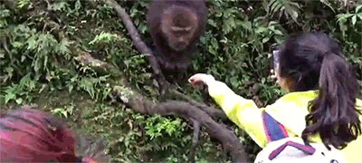 Monkey Uses iPhone on Make a GIF