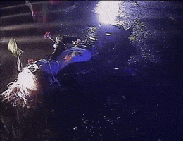 Music Video Japanese GIF